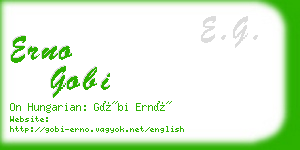 erno gobi business card